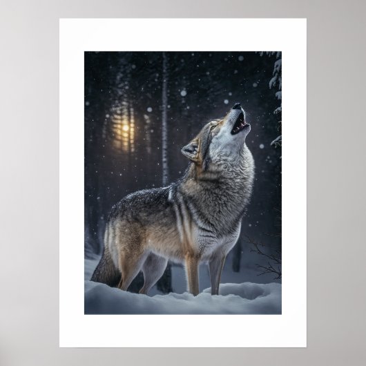 Poster Yellowstone Wolf (Voorkant)