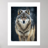 Poster Yellowstone Wolf (Voorkant)