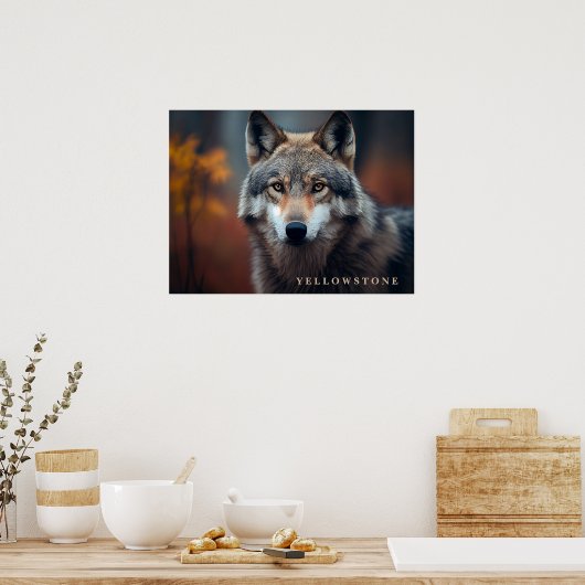 Poster Yellowstone Wolf (Keuken)