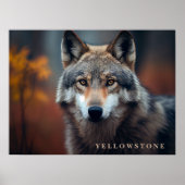 Poster Yellowstone Wolf (Voorkant)