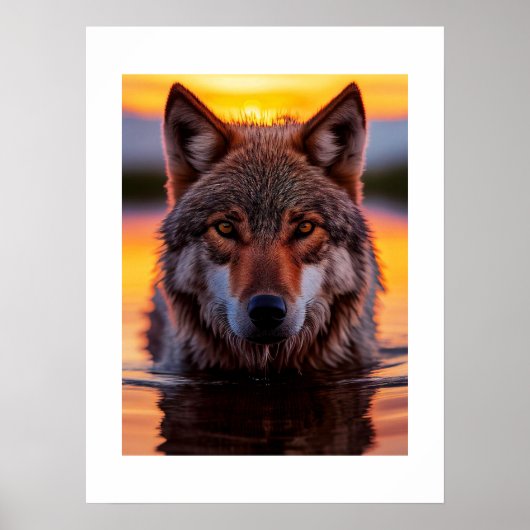 Poster Yellowstone Wolf (Voorkant)