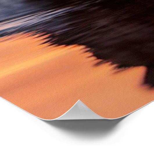 Poster Yellowstone Wolf (Hoek)