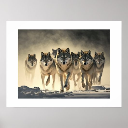Poster Yellowstone Wolven (Voorkant)
