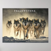 Poster Yellowstone Wolves (Voorkant)
