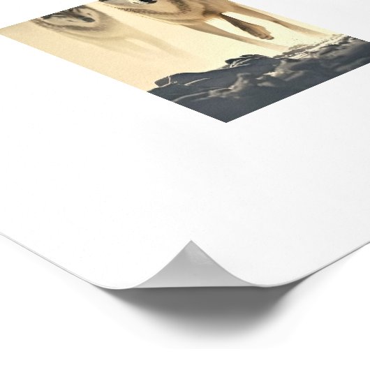 Poster Yellowstone Wolves (Hoek)