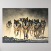 Poster Yellowstone Wolves (Voorkant)