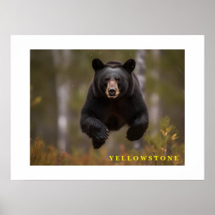 Poster Yellowstone Zwart Beer