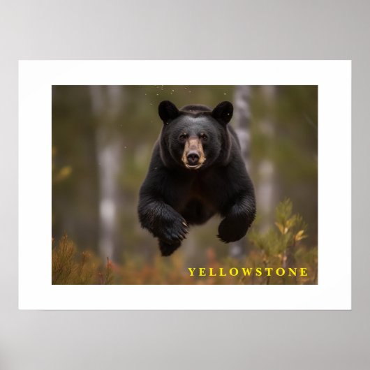 Poster Yellowstone Zwart Beer (Voorkant)