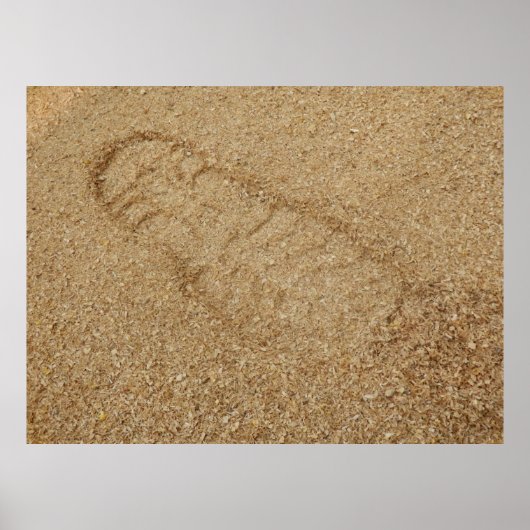 Poster Zaagstoflaars afdrukken (Voorkant)