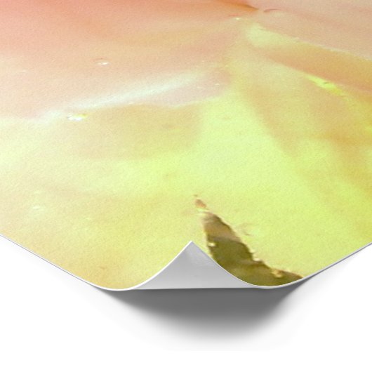 Poster zacht petaal (Hoek)