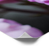 Poster Zachte Roze Rozen (Hoek)
