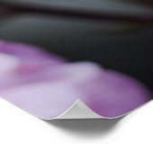 Poster Zachte Roze Rozen  (Hoek)