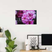 Poster Zachte Roze Rozen  (Thuiskantoor)