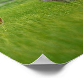 poster zandheuvelkranen (Hoek)