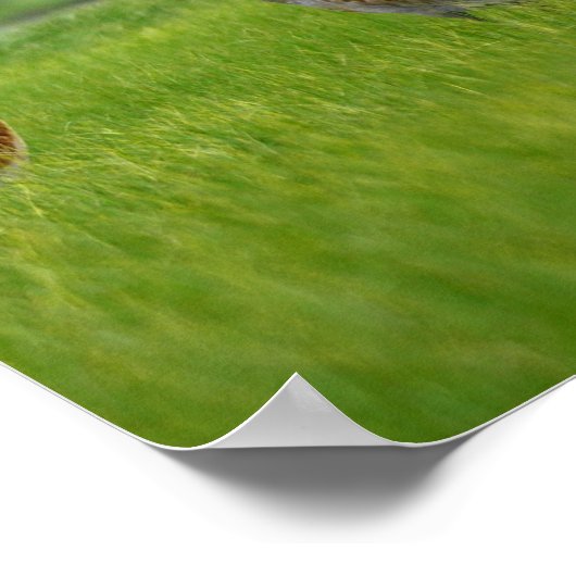 poster zandheuvelkranen (Hoek)