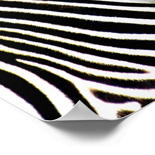 Poster zebra-profiel (Hoek)