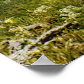 Poster Zee Turtle (Hoek)