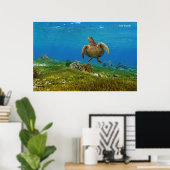 Poster Zee Turtle (Thuiskantoor)