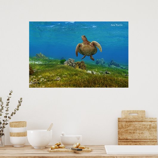 Poster Zee Turtle (Keuken)