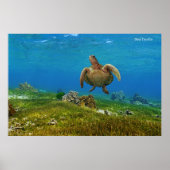 Poster Zee Turtle (Voorkant)