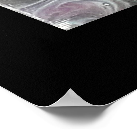 POSTER. Zeemeervis en zeester in nebula Poster (Hoek)