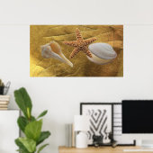 Poster zeeschelpen (Thuiskantoor)