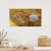 Poster zeeschelpen (Keuken)