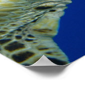 Poster Zeeschildpad (Hoek)