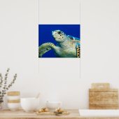 Poster Zeeschildpad (Keuken)