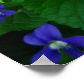 Poster Zen Proverb Quote (Hoek)