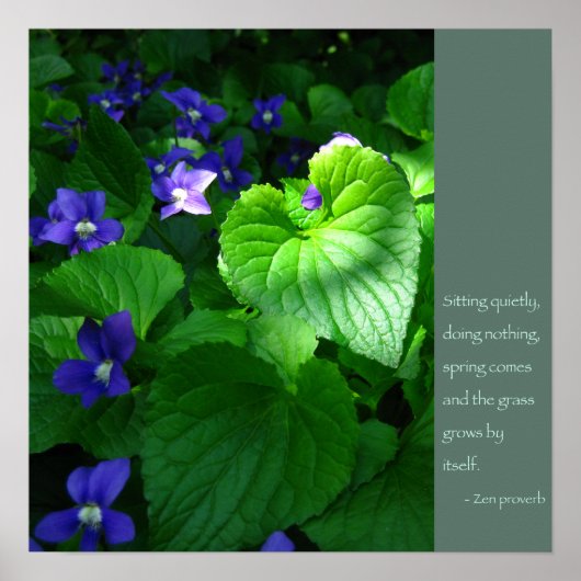 Poster Zen Proverb Quote (Voorkant)