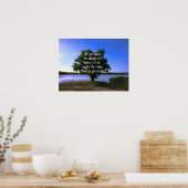 Poster - Zitten in de Schaduw van een Boom met Cit (Keuken)