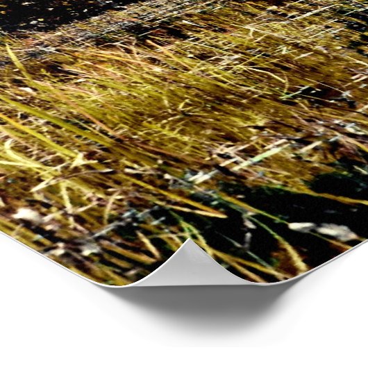 Poster ...zoeken en zoeken (Hoek)