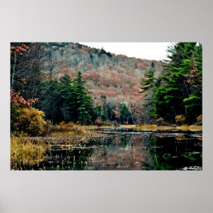 Poster zoeken en zoeken