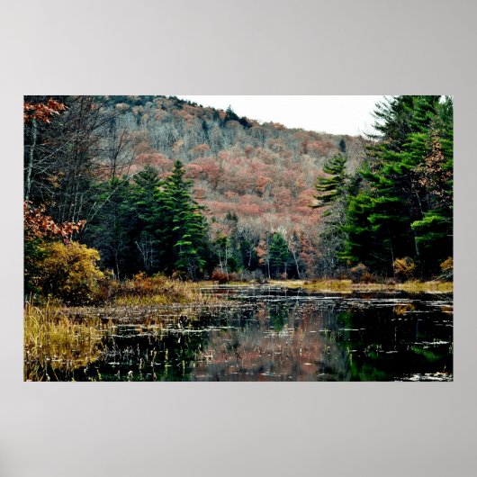 Poster zoeken en zoeken (Voorkant)