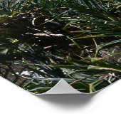 Poster zoeken op punt bedreigt Australië (Hoek)