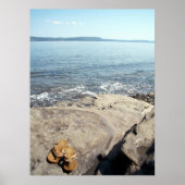 Poster zomerdagen (Voorkant)