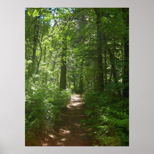 Poster zomerdagen (6) (Voorkant)