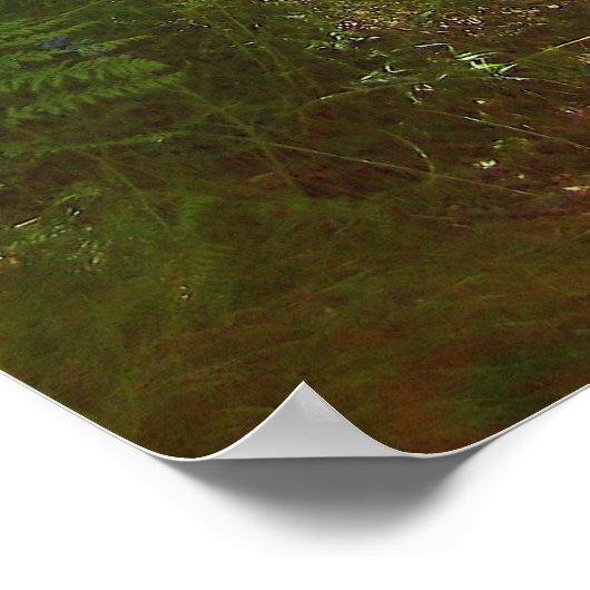 Poster zomerdagen (6) (Hoek)