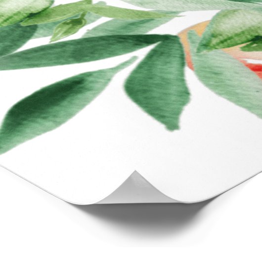 Poster zomerrooster (Hoek)