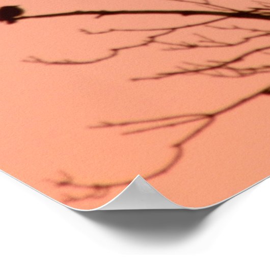 Poster - Zonnebestrijding (Hoek)