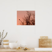 Poster - Zonnebestrijding (Keuken)