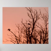 Poster - Zonnebestrijding (Voorkant)