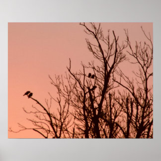 Poster - Zonnebestrijding