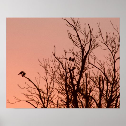 Poster - Zonnebestrijding (Voorkant)