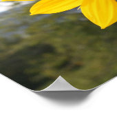 Poster - Zonnebloem (Hoek)