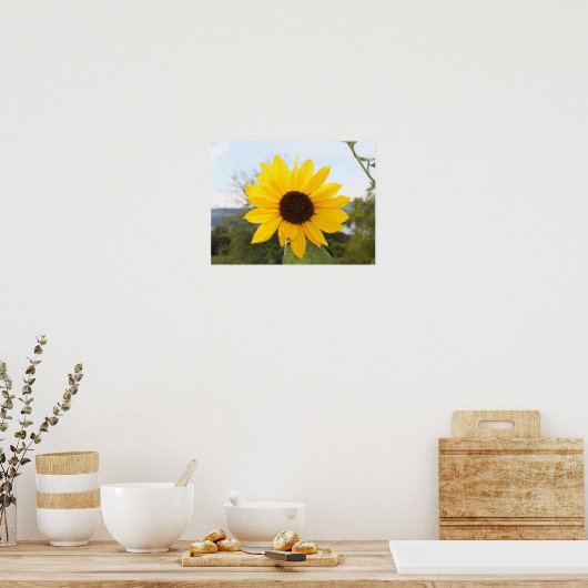 Poster - Zonnebloem (Keuken)