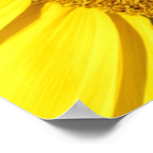 Poster - Zonnebloem (Hoek)