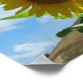 Poster - Zonnebloem (Hoek)