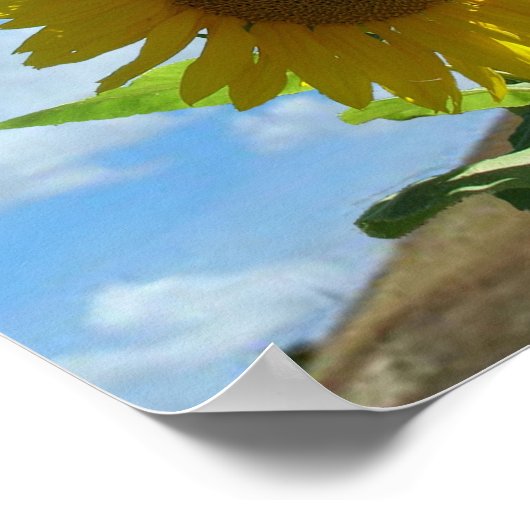 Poster - Zonnebloem (Hoek)